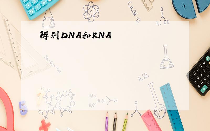 辨别DNA和RNA