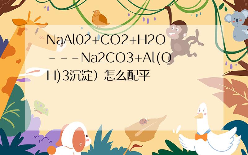 NaAl02+CO2+H2O---Na2CO3+Al(OH)3沉淀）怎么配平