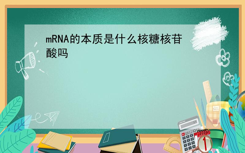 mRNA的本质是什么核糖核苷酸吗