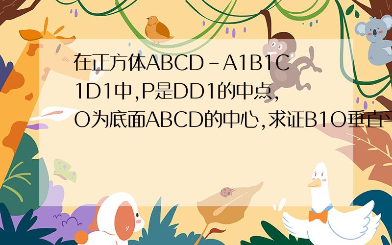 在正方体ABCD-A1B1C1D1中,P是DD1的中点,O为底面ABCD的中心,求证B1O垂直平面PAC?求速解