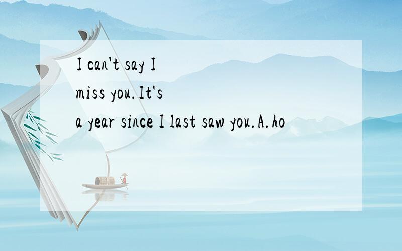 I can't say I miss you.It's a year since I last saw you.A.ho