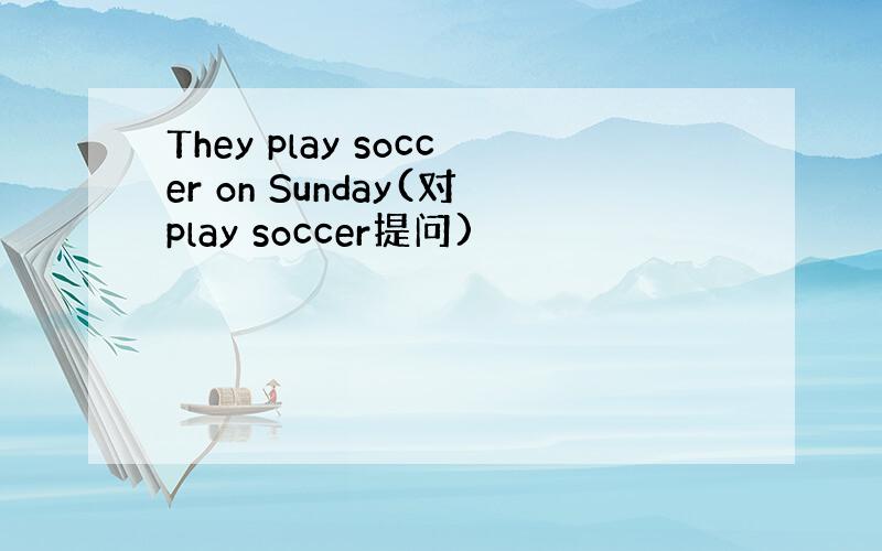 They play soccer on Sunday(对play soccer提问)