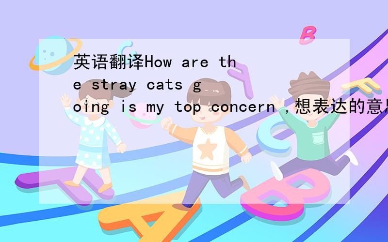 英语翻译How are the stray cats going is my top concern ,想表达的意思是流