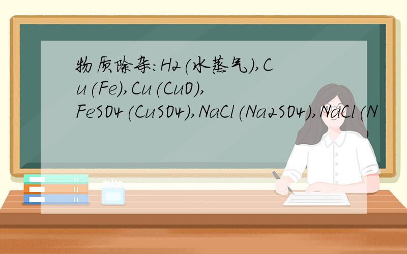 物质除杂:H2(水蒸气）,Cu(Fe),Cu(CuO),FeSO4(CuSO4),NaCl(Na2SO4),NaCl(N