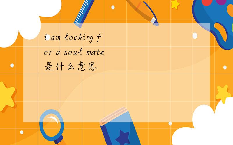 i am looking for a soul mate是什么意思
