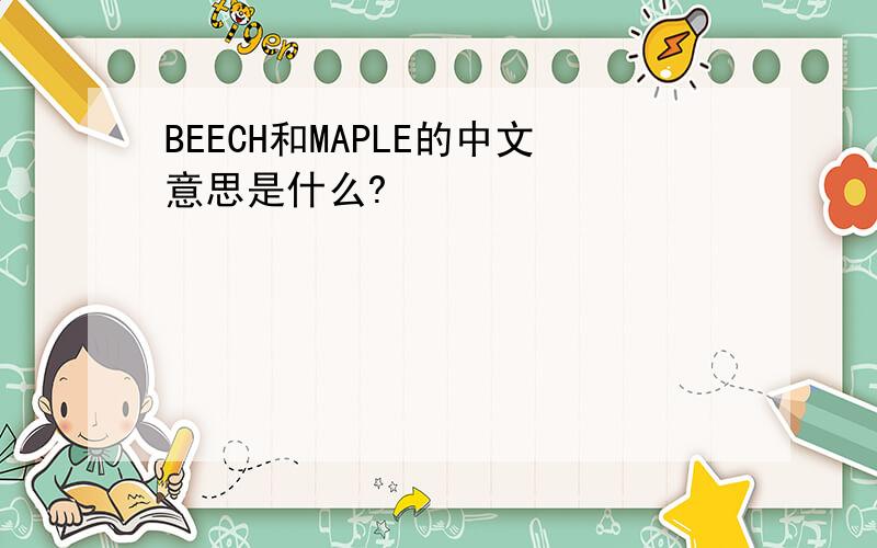 BEECH和MAPLE的中文意思是什么?