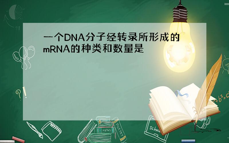 一个DNA分子经转录所形成的mRNA的种类和数量是