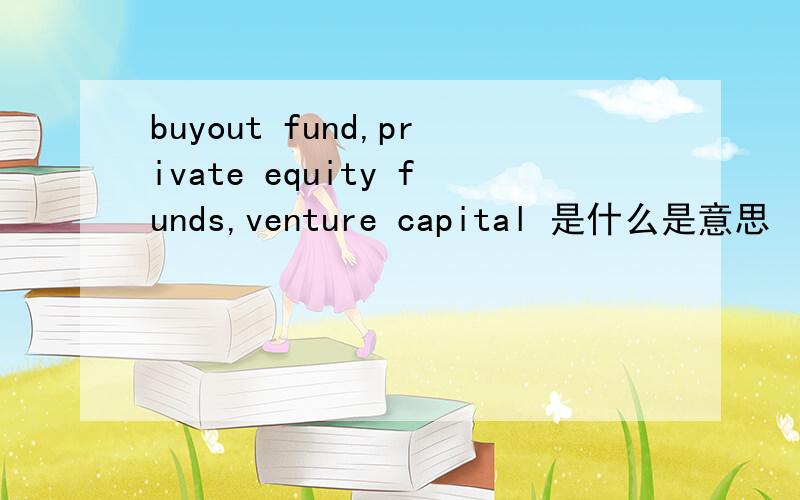 buyout fund,private equity funds,venture capital 是什么是意思