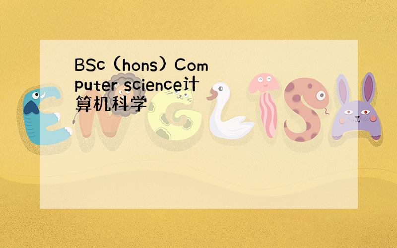 BSc (hons) Computer science计算机科学