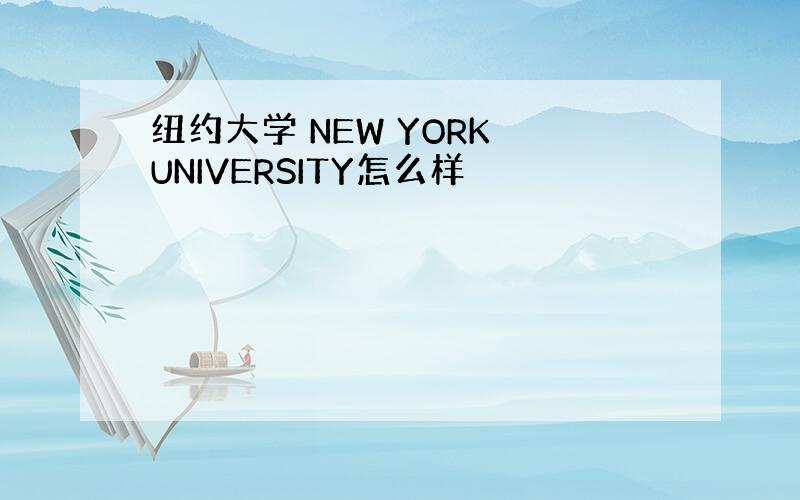 纽约大学 NEW YORK UNIVERSITY怎么样
