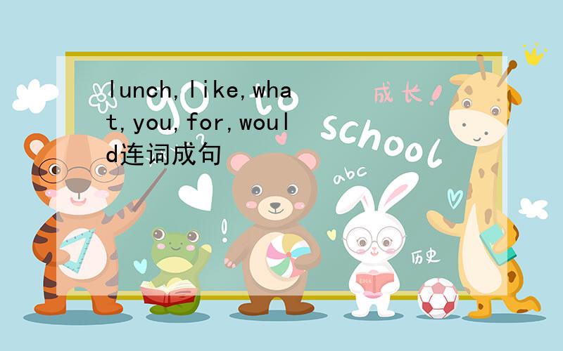 lunch,like,what,you,for,would连词成句