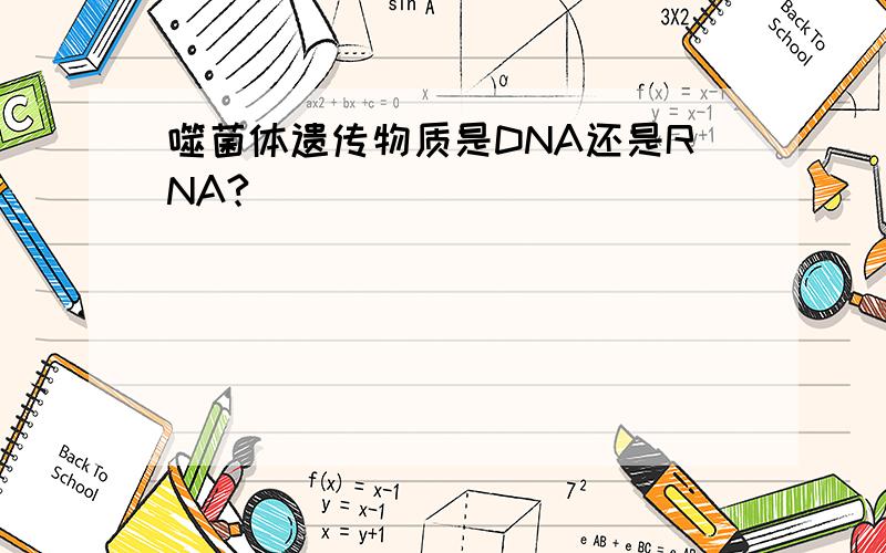 噬菌体遗传物质是DNA还是RNA?
