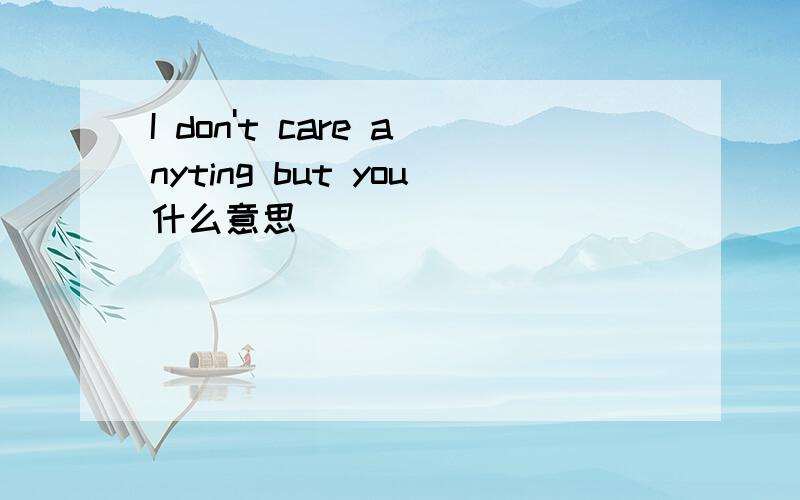 I don't care anyting but you什么意思