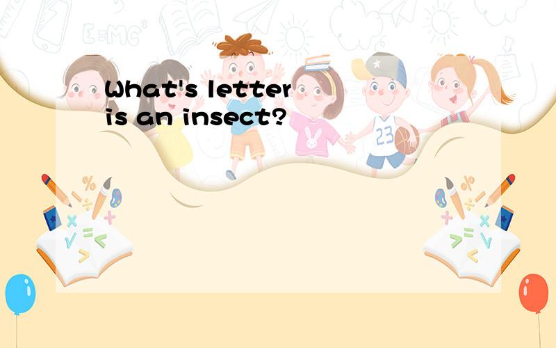 What's letter is an insect?