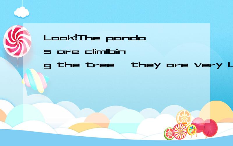 Look!The pandas are climlbing the tree ,they are very l_____