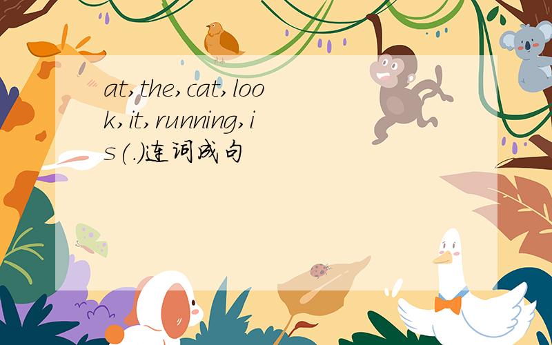 at,the,cat,look,it,running,is(.)连词成句