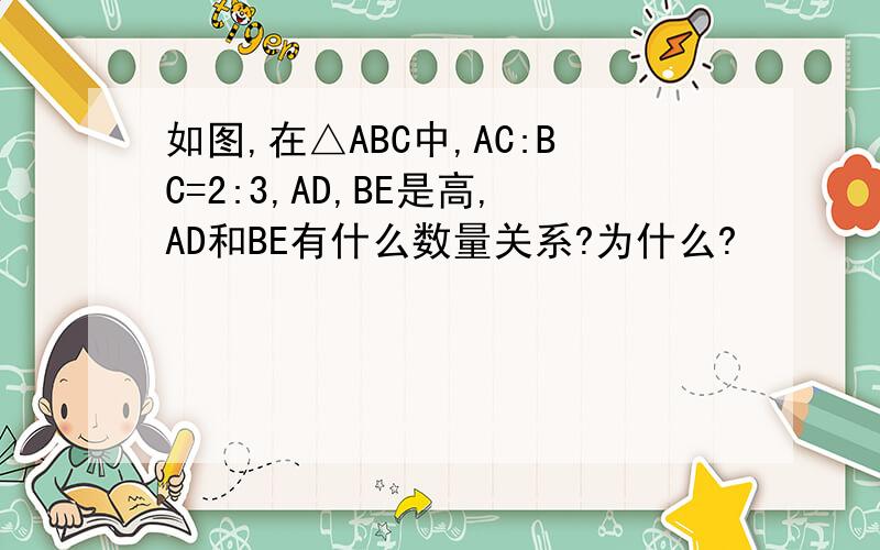 如图,在△ABC中,AC:BC=2:3,AD,BE是高,AD和BE有什么数量关系?为什么?