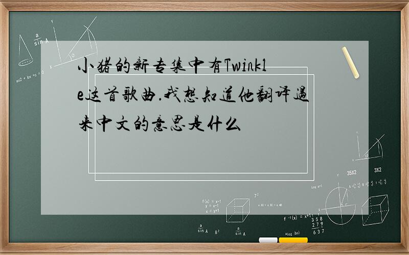 小猪的新专集中有Twinkle这首歌曲．我想知道他翻译过来中文的意思是什么