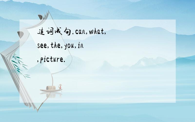 连词成句.can,what,see,the,you,in,picture.