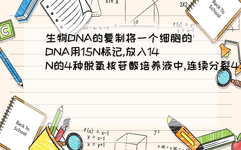 生物DNA的复制将一个细胞的DNA用15N标记,放入14N的4种脱氧核苷酸培养液中,连续分裂4次,含14N的DNA细胞占