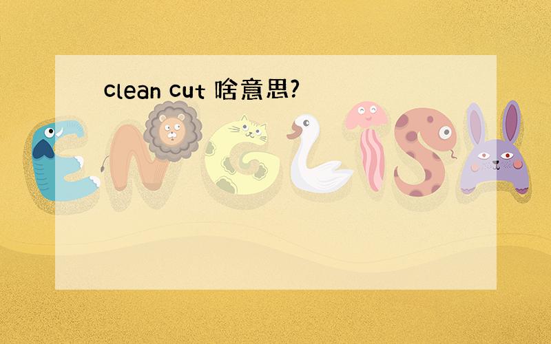 clean cut 啥意思?