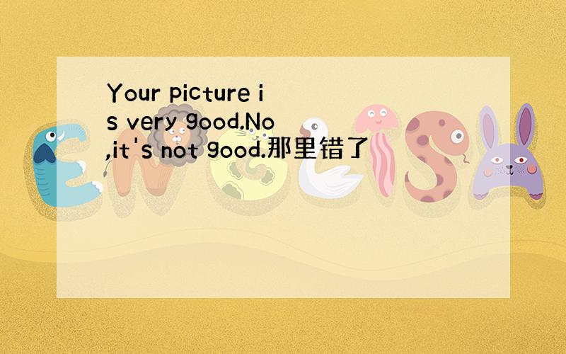 Your picture is very good.No,it's not good.那里错了