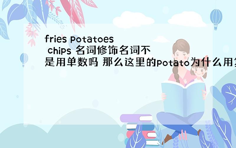 fries potatoes chips 名词修饰名词不是用单数吗 那么这里的potato为什么用复数呢