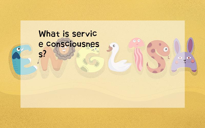 What is service consciousness?