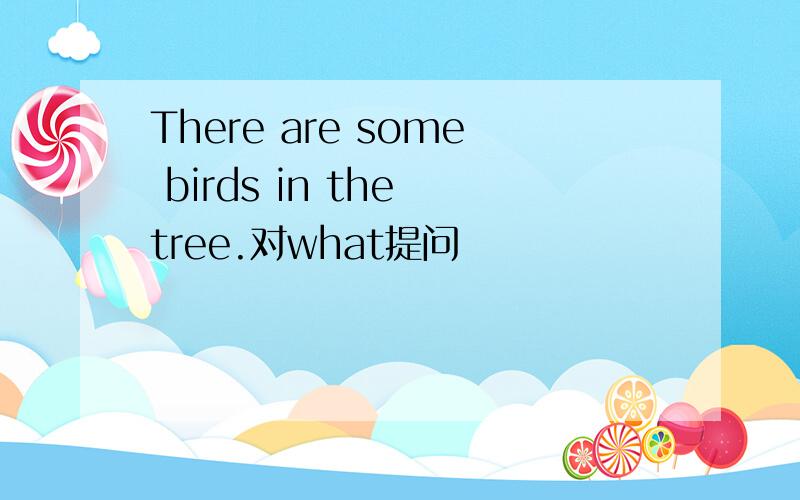 There are some birds in the tree.对what提问