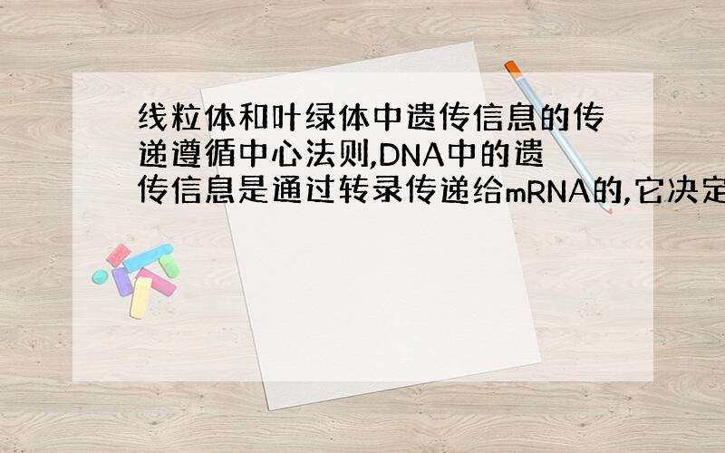 线粒体和叶绿体中遗传信息的传递遵循中心法则,DNA中的遗传信息是通过转录传递给mRNA的,它决定蛋白质中氨基酸的排列顺序