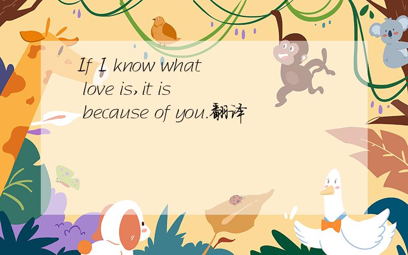 If I know what love is,it is because of you.翻译
