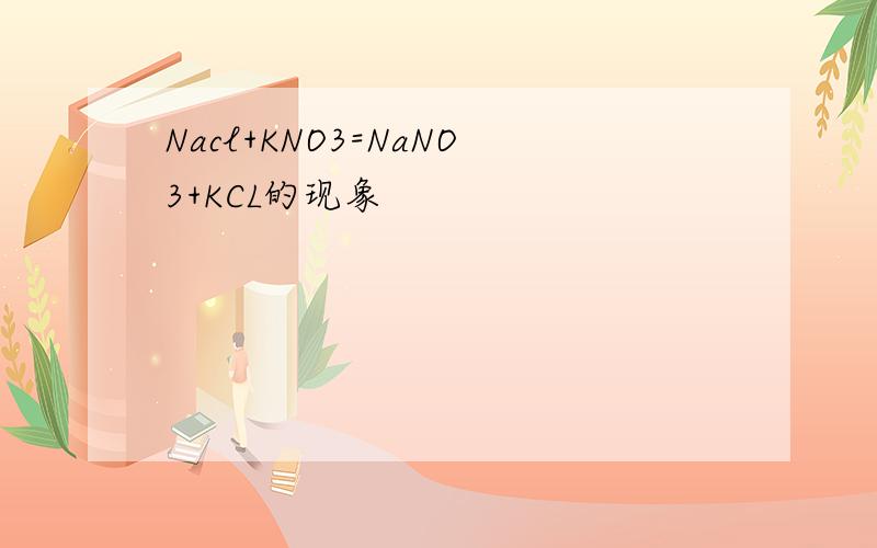 Nacl+KNO3=NaNO3+KCL的现象