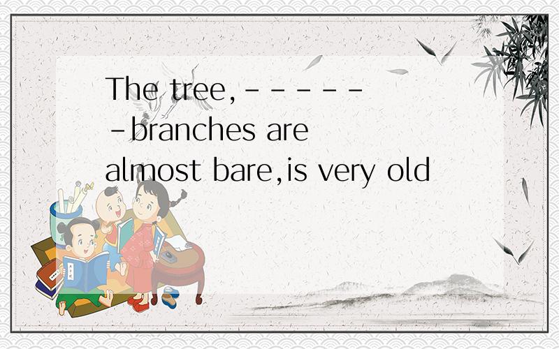 The tree,------branches are almost bare,is very old