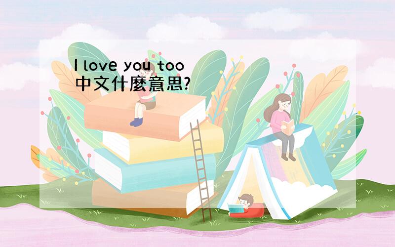 I love you too中文什麼意思?