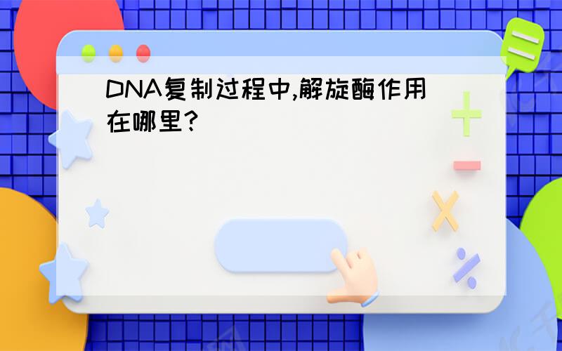 DNA复制过程中,解旋酶作用在哪里?