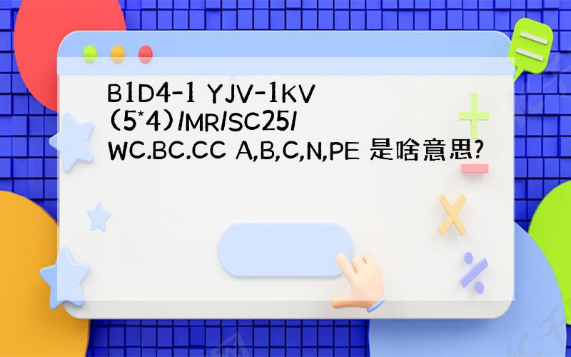 B1D4-1 YJV-1KV(5*4)/MR/SC25/WC.BC.CC A,B,C,N,PE 是啥意思?