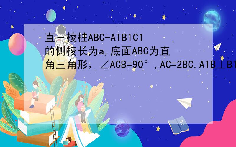 直三棱柱ABC-A1B1C1的侧棱长为a,底面ABC为直角三角形，∠ACB=90°,AC=2BC,A1B⊥B1C 1,求
