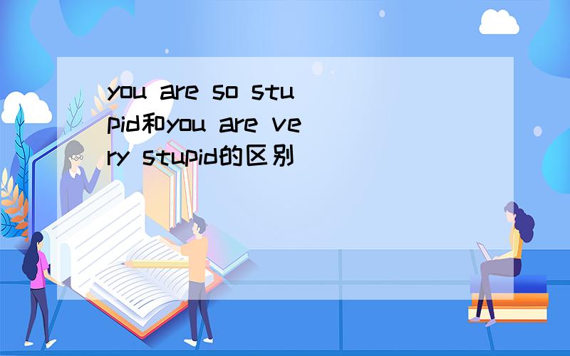 you are so stupid和you are very stupid的区别