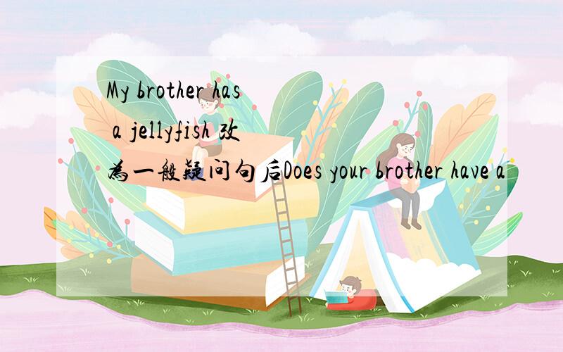 My brother has a jellyfish 改为一般疑问句后Does your brother have a