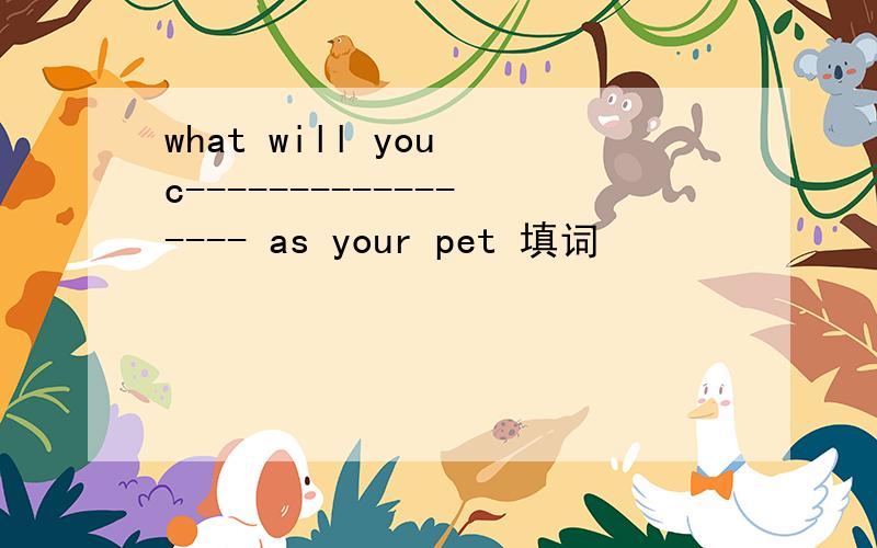 what will you c----------------- as your pet 填词