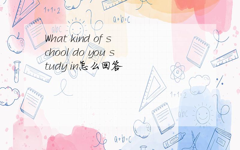 What kind of school do you study in怎么回答
