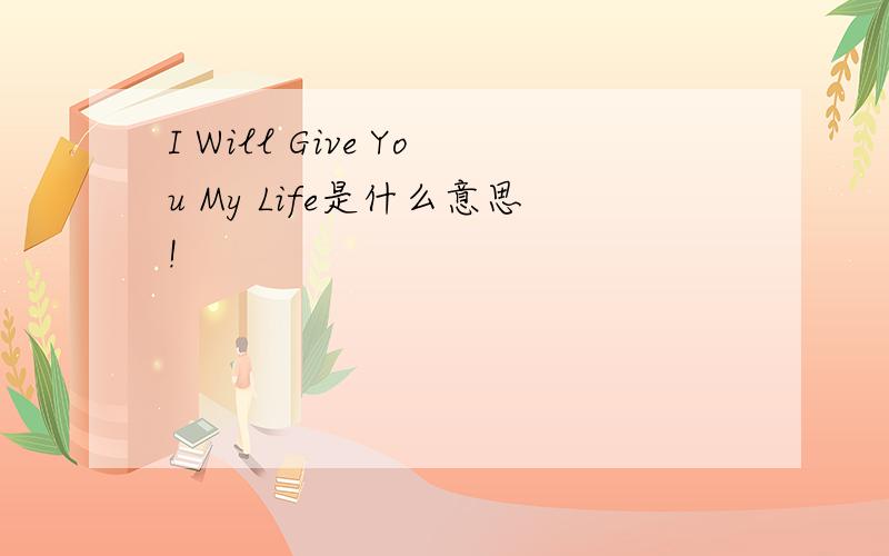 I Will Give You My Life是什么意思!