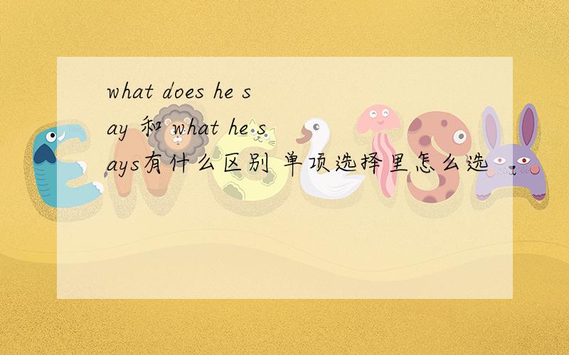 what does he say 和 what he says有什么区别 单项选择里怎么选