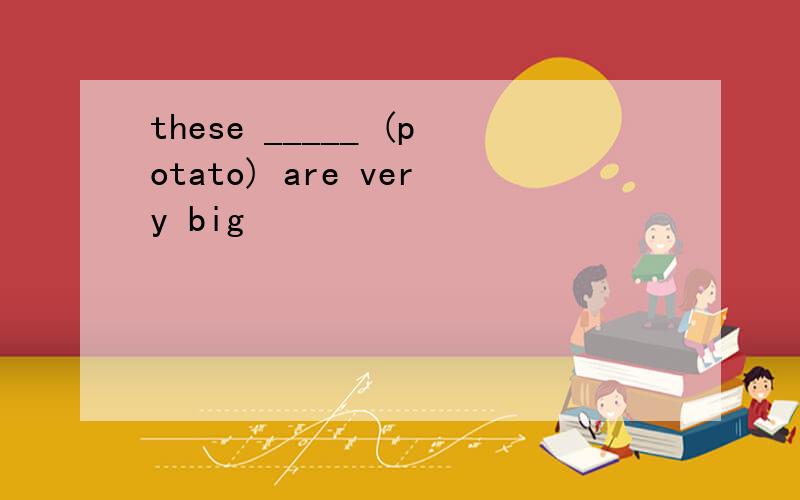 these _____ (potato) are very big
