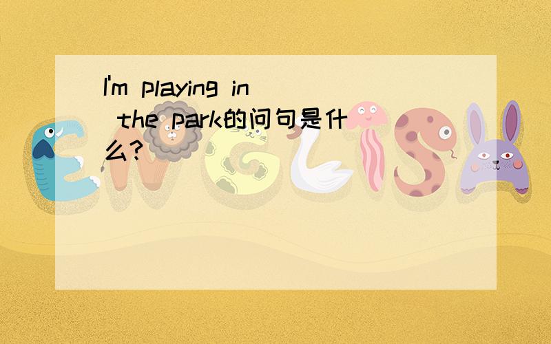 I'm playing in the park的问句是什么?