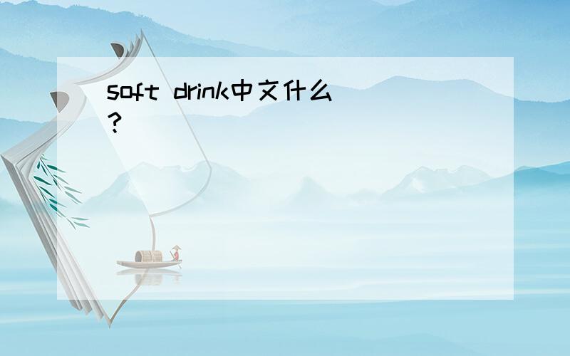 soft drink中文什么?