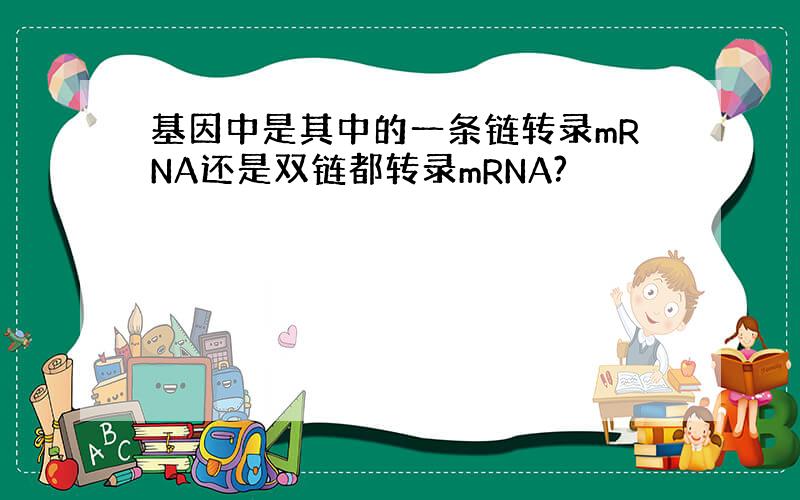 基因中是其中的一条链转录mRNA还是双链都转录mRNA?