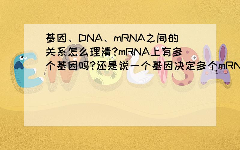 基因、DNA、mRNA之间的关系怎么理清?mRNA上有多个基因吗?还是说一个基因决定多个mRNA吗?