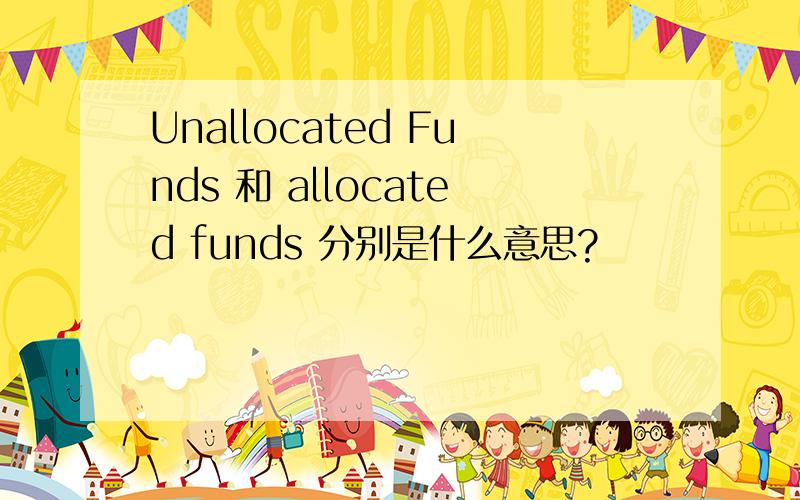 Unallocated Funds 和 allocated funds 分别是什么意思?