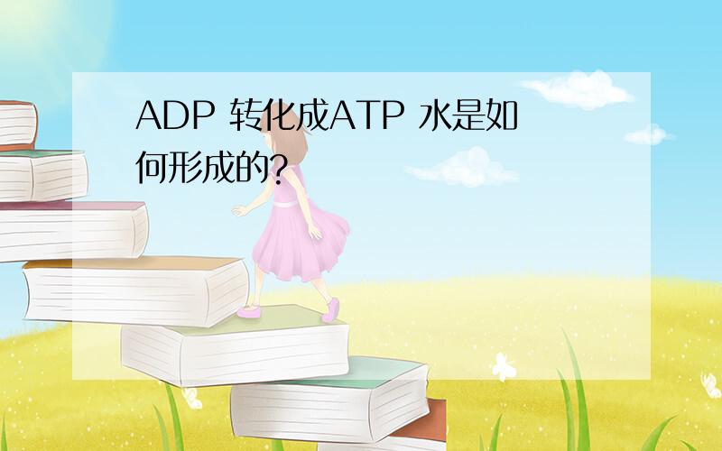 ADP 转化成ATP 水是如何形成的?